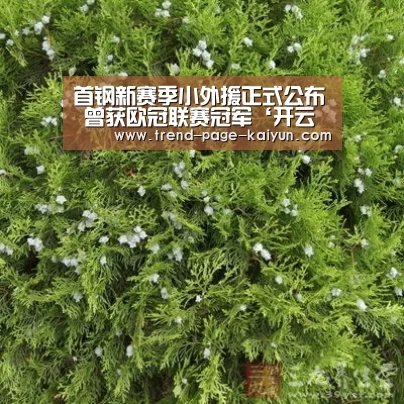 开云体育首页