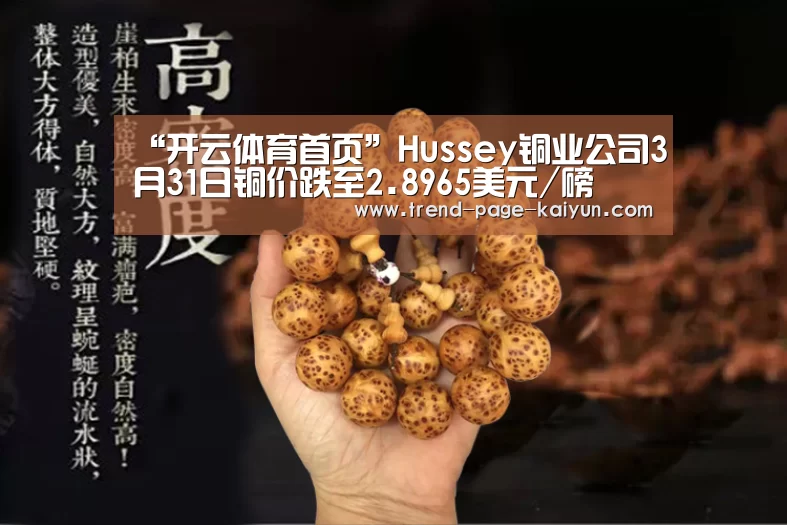 “开云体育首页”Hussey铜业公司3月31日铜价跌至2.8965美元/磅(图3) 开云体育首页